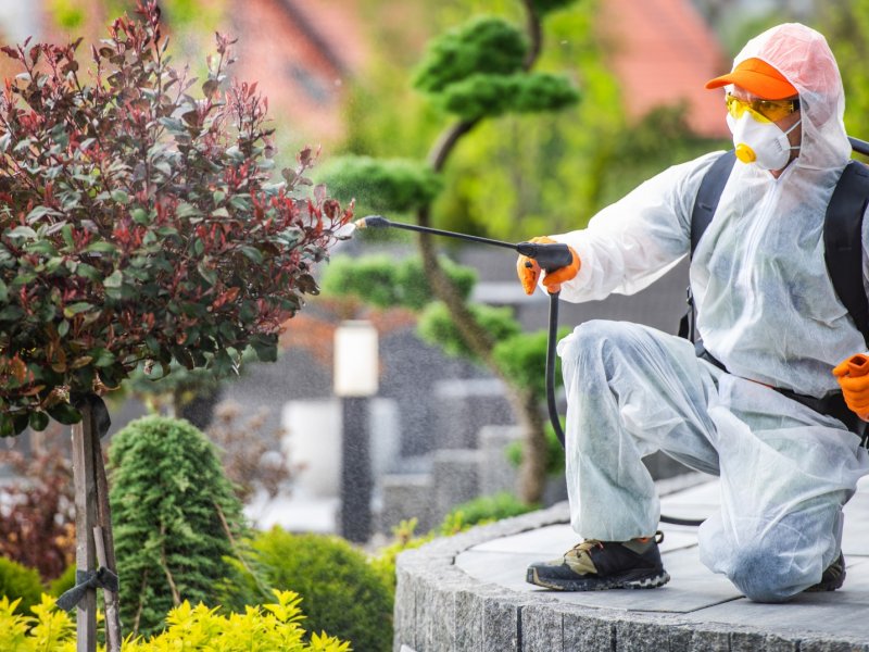 Beylikova Haşere İlaçlama